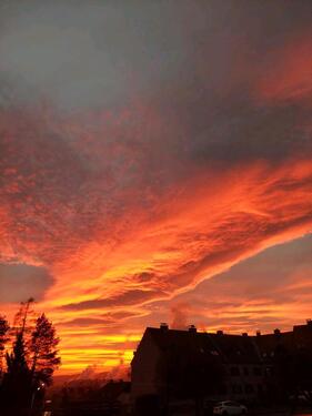 Foto - Wohngeschäftshaus in Mainzer Vorortlage