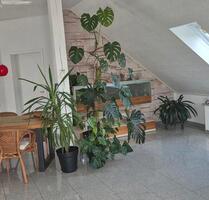 3.5 Zimmer Wohnung in Schwaigern Ortsteil