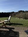 Foto - ****Das ganze Jahr die Natur erleben!****
