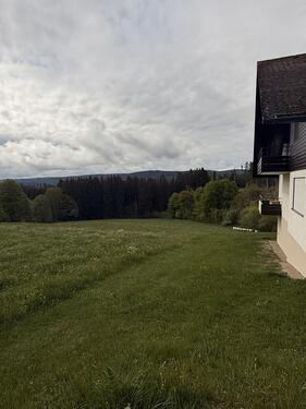 Foto - 3 Zimmer Erdgeschoßwohnung zur Miete in Lenzkirch
