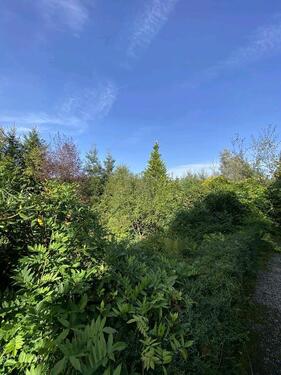 Foto - andere in Gummersbach zur Miete