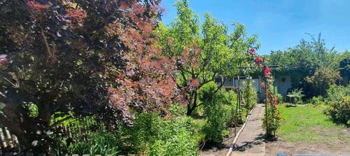 Foto - Kleingarten - 1.250,00 EUR Kaltmiete, ca.  0,00 m²