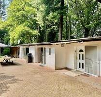 Waldchalet Burgholz - Traumhafter Bungalow mit 4000qm Waldgrundst - Wuppertal Cronenberg
