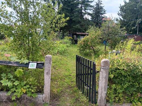 Foto - Kleingarten in Dresden Hellerau im KGV