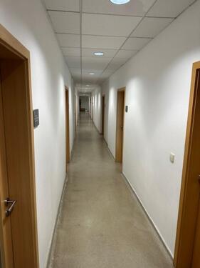 Foto - andere in Neustadt in Sachsen