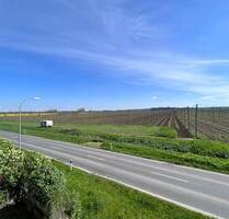 1 Monat Kaltmietfrei! Sanierte 2 Raumwohnung in Querfurt