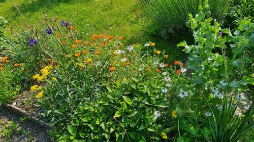 Foto - Grundst&uuml;ck in Leipzig