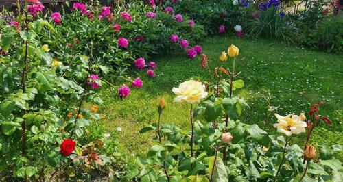 Foto - Grundst&uuml;ck in Leipzig zur Miete