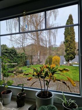 Foto - ​Helle 2-Zimmer-Erdgeschosswohnung mit eigenem Garten & Parkplatz