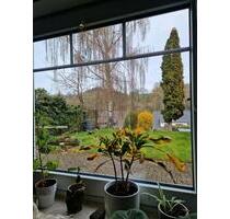 ​Helle 2-Zimmer-Erdgeschosswohnung mit eigenem Garten & Parkplatz - Sundern (Sauerland)