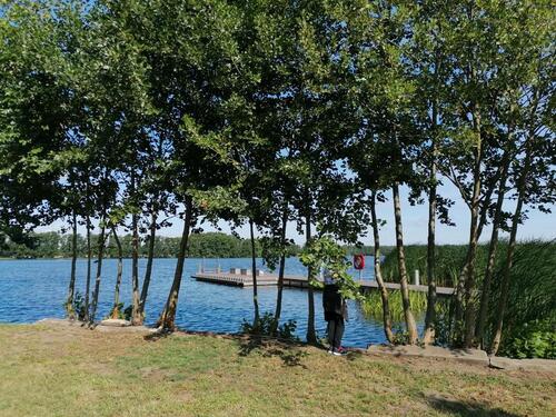 Foto - 