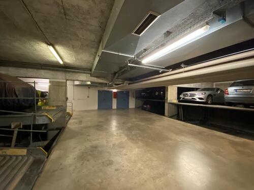 Foto - andere in Dresden