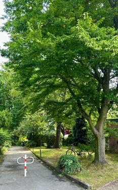 Foto - Selbstnutzer Aufgepasst- 2,5 Zimmer Wohnung mit Balkon
