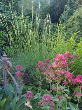 Foto - 2 Zimmer Reihenhaus zum Kaufen in Göttingen