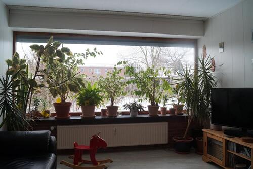 Foto - Reihenhaus in Lehrte