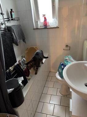 Foto - Etagenwohnung in Bad Münder am Deister zur Miete