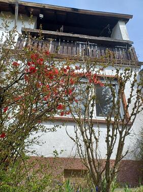 Foto - 5 Zimmer Einfamilienhaus in Waldfischbach-Burgalben