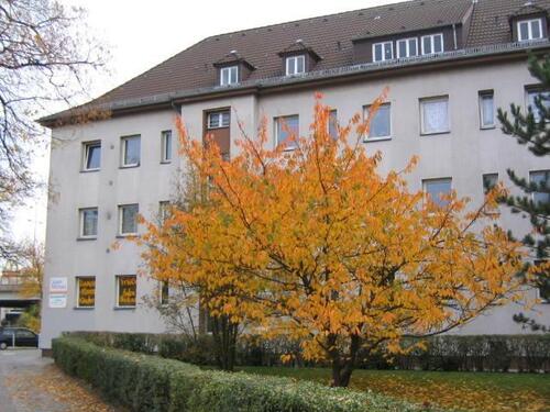 Foto - Ladengeschäft hell & charmant mit Potentzial