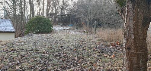 Foto - Einfamilienhaus in Neuensalz zum Kaufen