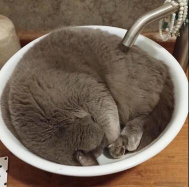 Foto - Wohnung Eversen WG mit Mithilfe