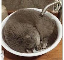 Wohnung Eversen WG mit Mithilfe - Sottrum