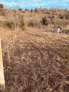 Foto - Grundst&uuml;ck in Gottenheim zur Miete