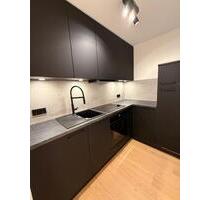 Modernes 1-Zimmer-Apartment am grünen Stadtpark - Nürnberg Herrnhütte