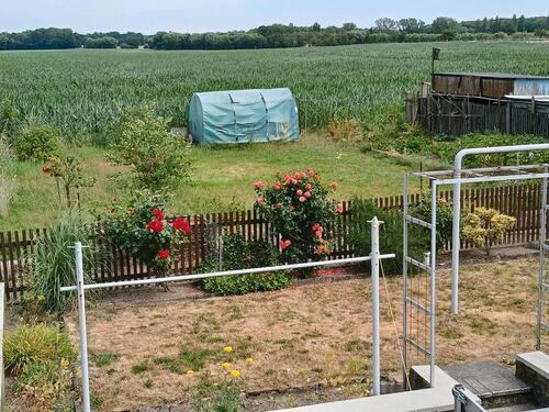 Foto - Einfamilienhaus in Naunhof zum Kaufen