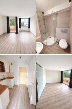 Foto - 1 Zimmer Etagenwohnung zur Miete in Baiersbronn