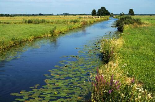 Foto - Wohnungsgesuch - 700,00&nbsp;EUR Kaltmiete, ca.&nbsp; 60,00&nbsp;m&sup2;