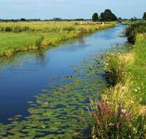 Wohnungsgesuch - 700,00&nbsp;EUR Kaltmiete, ca.&nbsp; 60,00&nbsp;m&sup2; in Ritterhude (PLZ: 27721)