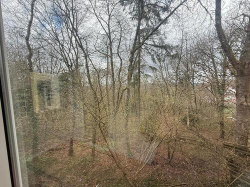 Foto - 1 Zimmer Etagenwohnung zur Miete in Kelkheim (Taunus)