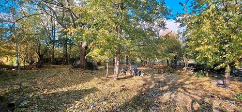 Foto - Einfamilienhaus zum Kaufen in Dresden