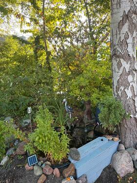 Foto - Einfamilienhaus in Hattstedt zum Kaufen
