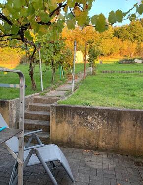 Foto - Einfamilienhaus zum Kaufen in Altenglan