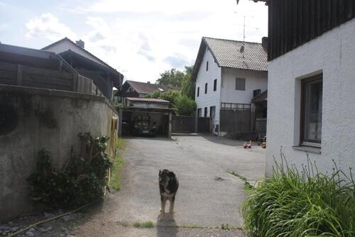 Foto - 
