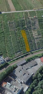 Foto - Weinberg in Besigheim Niedernberg an der Enz 10 Ar