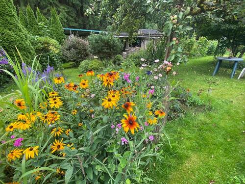 Foto - Idyllischer Pachtgarten (500 m²) abzugeben