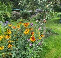 Idyllischer Pachtgarten (500 m²) abzugeben - Brand-Erbisdorf