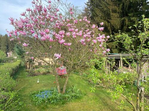 Foto - Grundst&uuml;ck in Brand-Erbisdorf zur Miete
