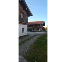 Wohnhaus Garten Wiese Werkstatt Wohnung - Dietramszell