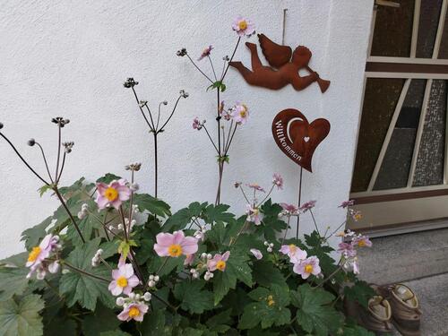 Foto - Wohnung voll möbliert, im Zweifamilienhaus auf Zeit zu vermieten!