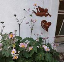 Wohnung voll möbliert, im Zweifamilienhaus auf Zeit zu vermieten! - Freigericht