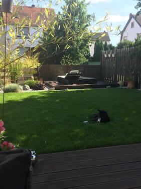 Foto - Einfamilienhaus in Maintal zum Kaufen