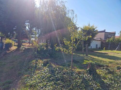 Foto - 3 Zimmer Einfamilienhaus zum Kaufen in Dahlen