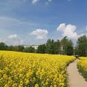 Foto - Lage, Lage, Lage - 407,00 EUR Kaltmiete,