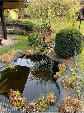 Foto - Einfamilienhaus in Schotten zum Kaufen