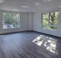 Büro zu vermieten, Neubau, provisionsfrei, zentrale Lage - Henstedt-Ulzburg