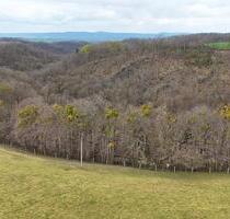 4,4 ha Wald an der Bahre - 5.000,00&nbsp;EUR Kaltmiete, ca.&nbsp; 0,00&nbsp;m&sup2; in Bahretal (PLZ: 01819)