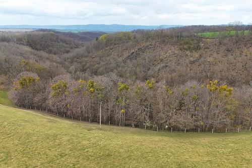 Foto - Grundst&uuml;ck in Bahretal zum Kaufen